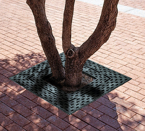 Baumrost 1 um einen Baum herum